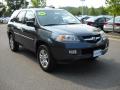 2006 MDX  #1