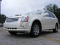 2009 SRX V6 #2