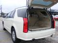2009 SRX V6 #14