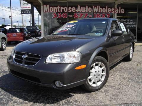 Gray Lustre Metallic Nissan Maxima GXE.  Click to enlarge.