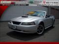 2001 Mustang GT Convertible #1