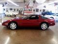 1989 Corvette Coupe #2