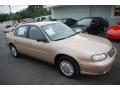 2001 Malibu Sedan #2