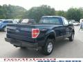 2009 F150 XL Regular Cab 4x4 #7