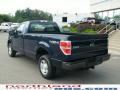 2009 F150 XL Regular Cab 4x4 #9