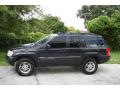 1999 Grand Cherokee Limited 4x4 #4