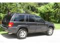 1999 Grand Cherokee Limited 4x4 #13