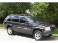 1999 Grand Cherokee Limited 4x4 #16