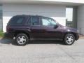 2008 TrailBlazer LS 4x4 #2