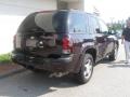 2008 TrailBlazer LS 4x4 #3