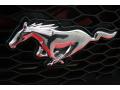 2008 Mustang V6 Deluxe Coupe #24