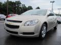2010 Malibu LS Sedan #1