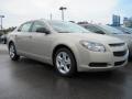 2010 Malibu LS Sedan #3