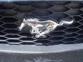 2006 Mustang GT Premium Convertible #12