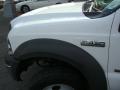2005 F450 Super Duty XL Regular Cab Chassis #8
