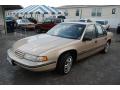 1994 Lumina Sedan #2
