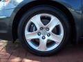 2006 RL 3.5 AWD Sedan #19