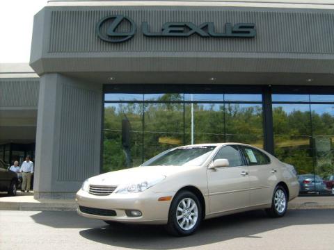 Mystic Gold Metallic Lexus ES 300.  Click to enlarge.