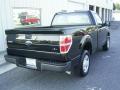 2009 F150 XL Regular Cab #8