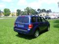 2008 Escape XLT #6