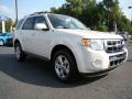 2010 Escape Limited V6 #1 2010 Escape Limited V6 #1