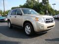 2010 Escape XLT #1 2010 Escape XLT #1