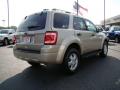 2010 Escape XLT #3 2010 Escape XLT #3