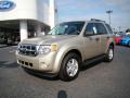 2010 Escape XLT #6 2010 Escape XLT #6