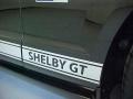 2007 Mustang Shelby GT Coupe #5 2007 Mustang Shelby GT Coupe #5