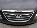 2010 Sonata GLS #10