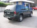 2004 TrailBlazer LS 4x4 #6