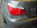 2010 5 Series 528i Sedan #5