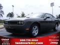 2010 Challenger SE #1
