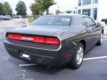 2010 Challenger SE #3