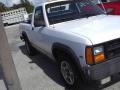1988 Dakota Regular Cab #6