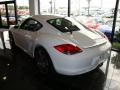 2009 Cayman S #6