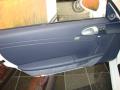 Door Panel of 2009 Porsche Cayman S #9