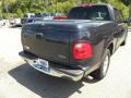 2001 F150 XLT SuperCrew #13