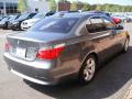 2007 5 Series 525i Sedan #6