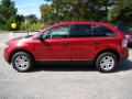 2008 Edge SE #5