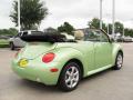2004 New Beetle GLS 1.8T Convertible #5
