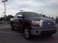2010 Tundra Platinum CrewMax #1