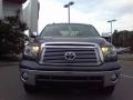 2010 Tundra Platinum CrewMax #29