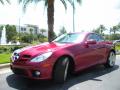 2009 SLK 300 Roadster #2