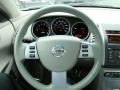 2008 Maxima 3.5 SE #19