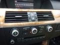 2009 5 Series 528i Sedan #21