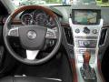 2008 CTS Sedan #14