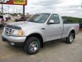 1999 F150 XL Regular Cab 4x4 photo #3