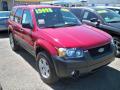 2006 Escape XLT V6 #6