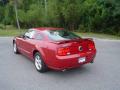 2009 Mustang GT Coupe #7
